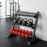 Everfit 3-Tier Dumbbell Rack Black 300kg Capacity for Home Gym