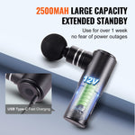 Deep Tissue Massage Gun with 4 Speed Levels & 4 Heads